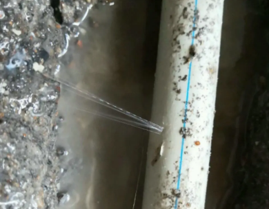 海安测漏水哪家好