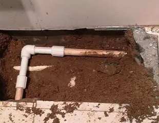 海安测漏水哪家好