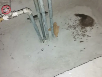 海安卫生间测漏水价格明细