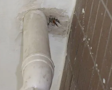 海安漏水检测哪家好